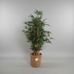 Konstväxt IKEA Bambu med korg - B